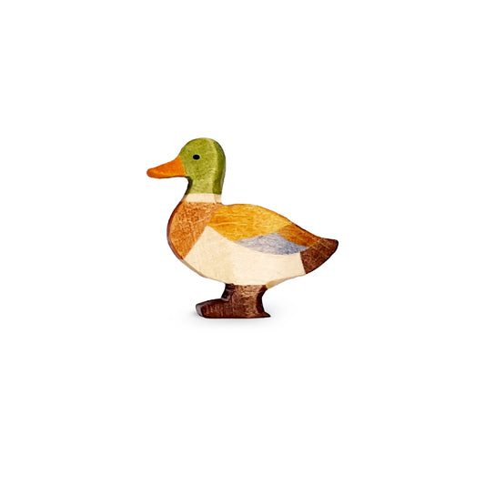 Handgefertigte Ente Erpel von Allgäuer Holztiere, grün, orange hellbraun, dunkelbraun und blau  bemalt mit pflanzlichen Farben, stehend in natürlicher Umgebung am Wasser oder Ufer, aus bayerischem Ahornholz gefertigt, im Allgäu von Hand hergestellt und für Kinder ab 3 Jahren geeignet.